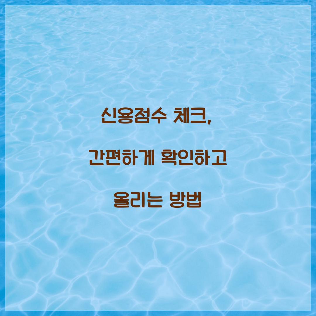 신용점수 체크