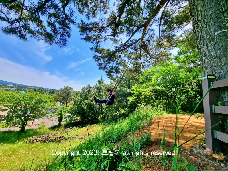 하늘에 소나무가 가득하고 기울어진 경사면에서 그네를 타는 아이의 옆모습