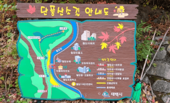 태백시 철암 단풍군락지