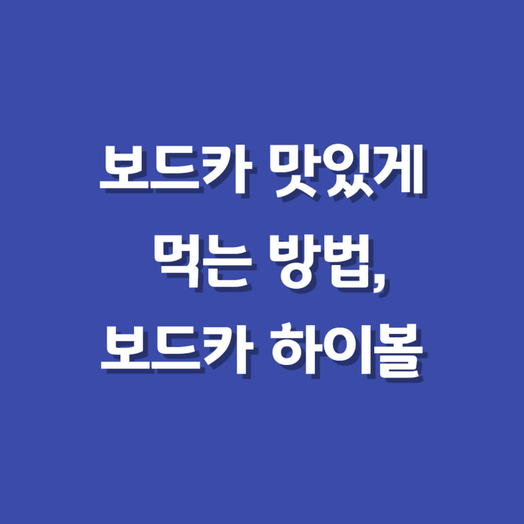 보드카맛있게먹는법-보드카하이볼