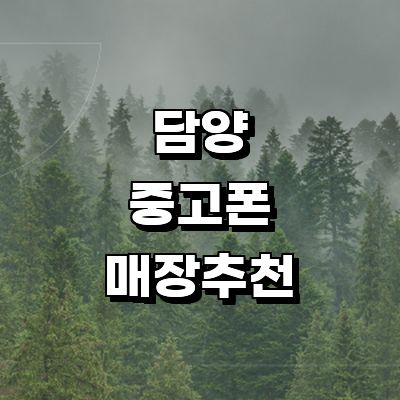 담양군 중고폰