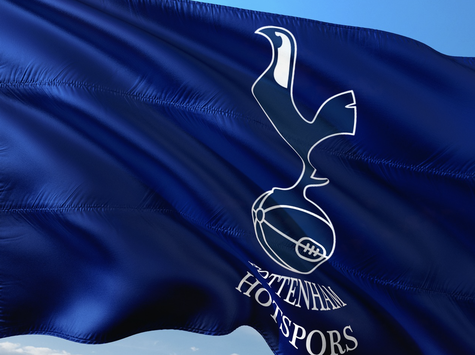 토트넘 관련 이미지