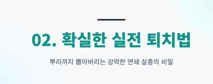 바퀴벌레 퇴치방법