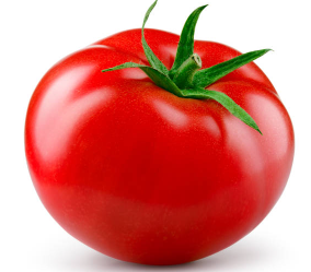 토마토