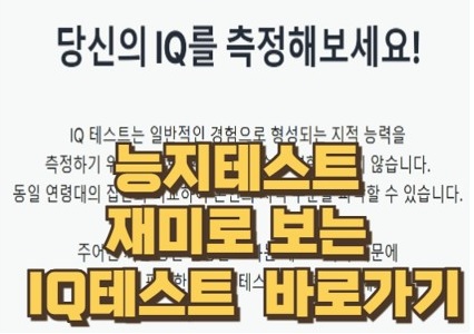 능지테스트 IQ테스트 차이