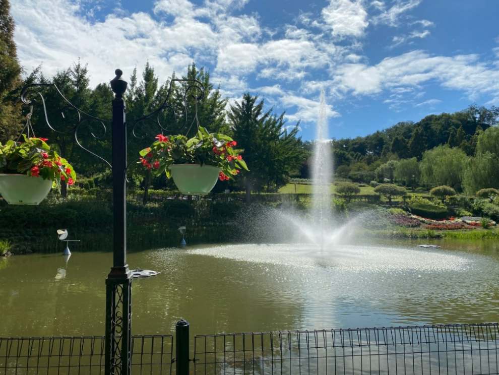 피나클랜드 튤립 수선화 축제