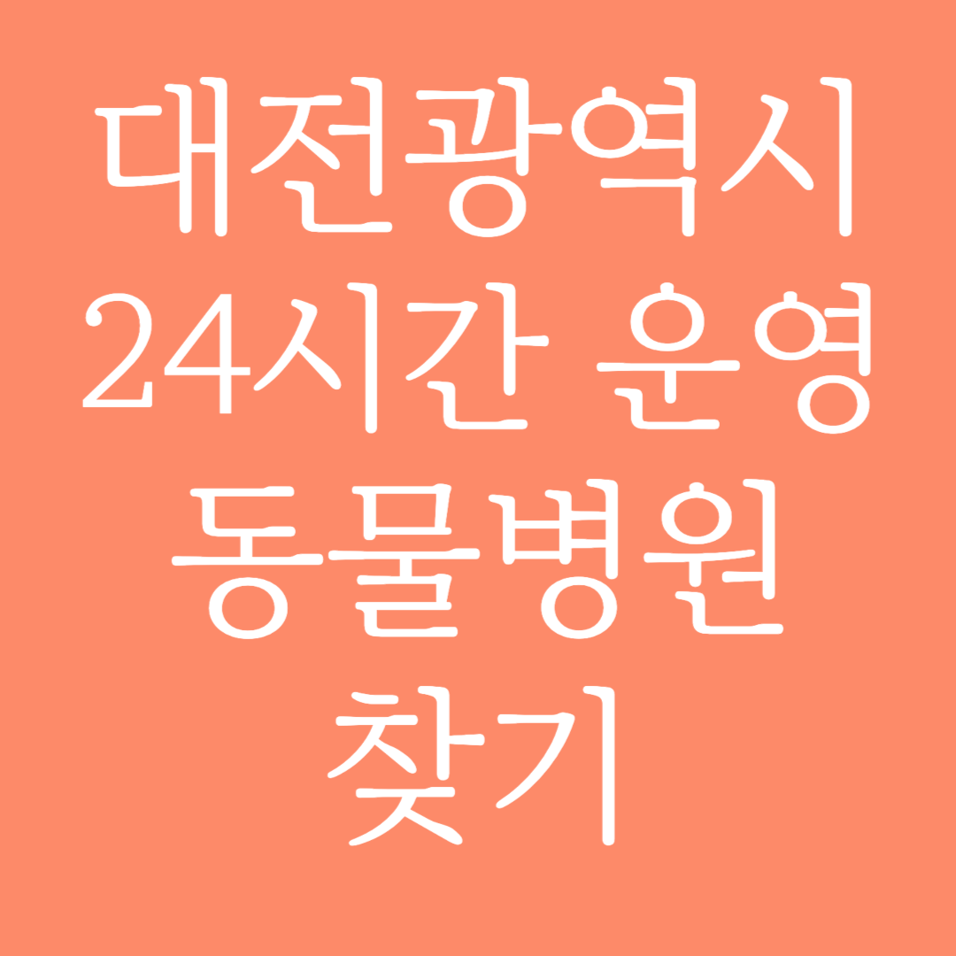 대전광역시 24시간 운영 동물병원 찾기