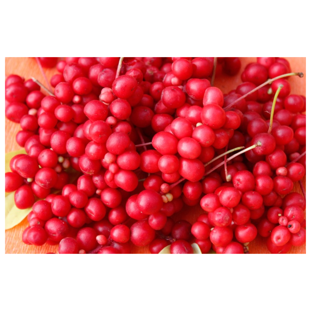 오미자와 관련된 사진입니다.