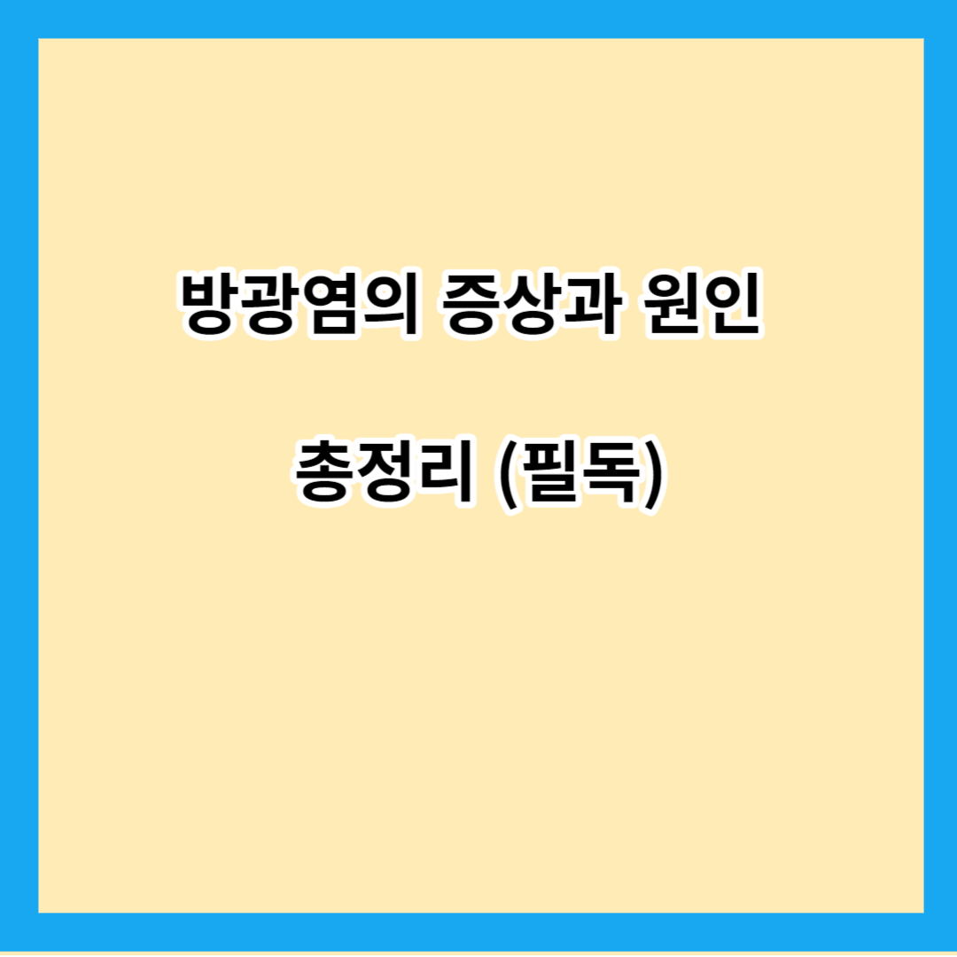 방광염의 증상과 원인 총정리 (필독)