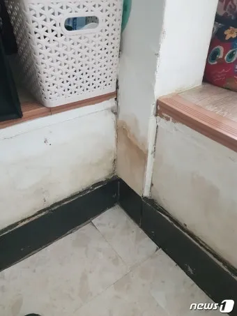 곰팡이 냄새 빨래통 환기와 햇빛 건조 베이킹소다 뿌리기_23