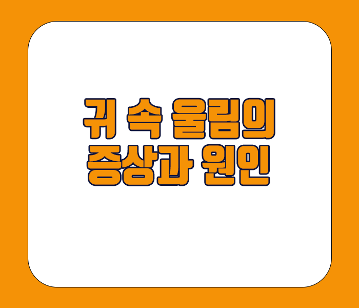 귀 속 울림 증상과 원인 정리