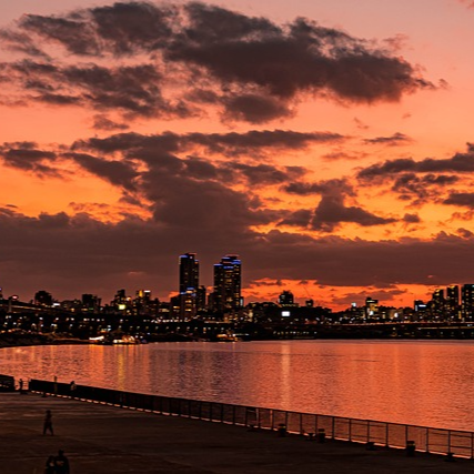 아이랑 한강 나들이