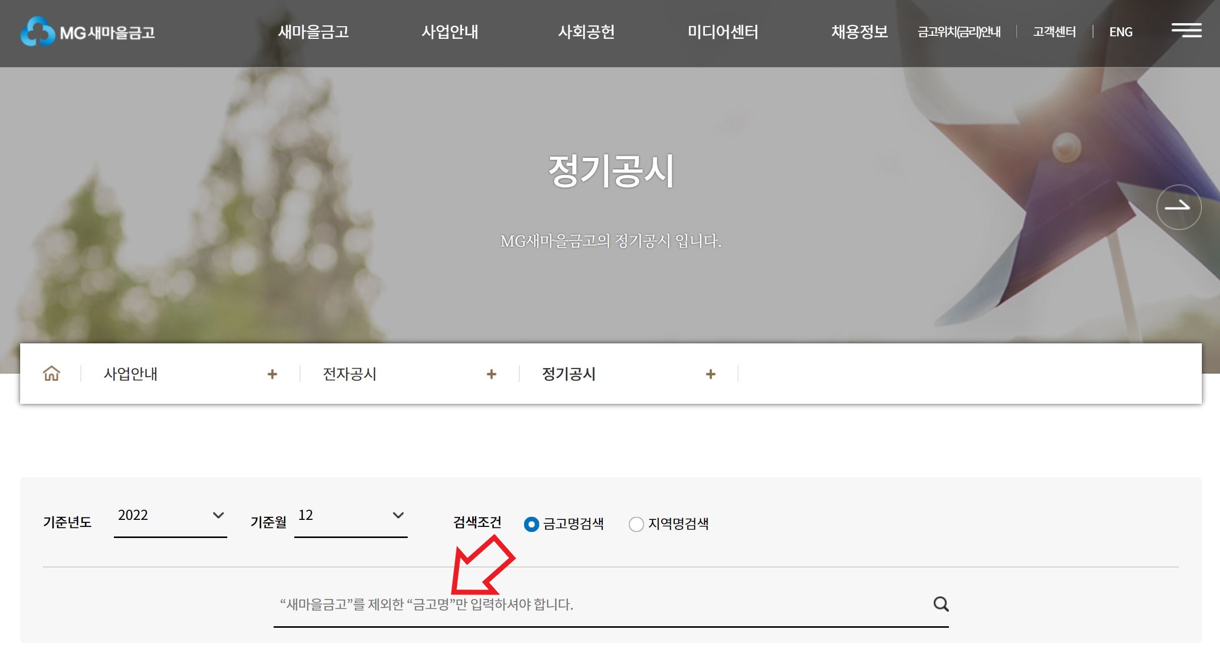 새마을금고 부실
