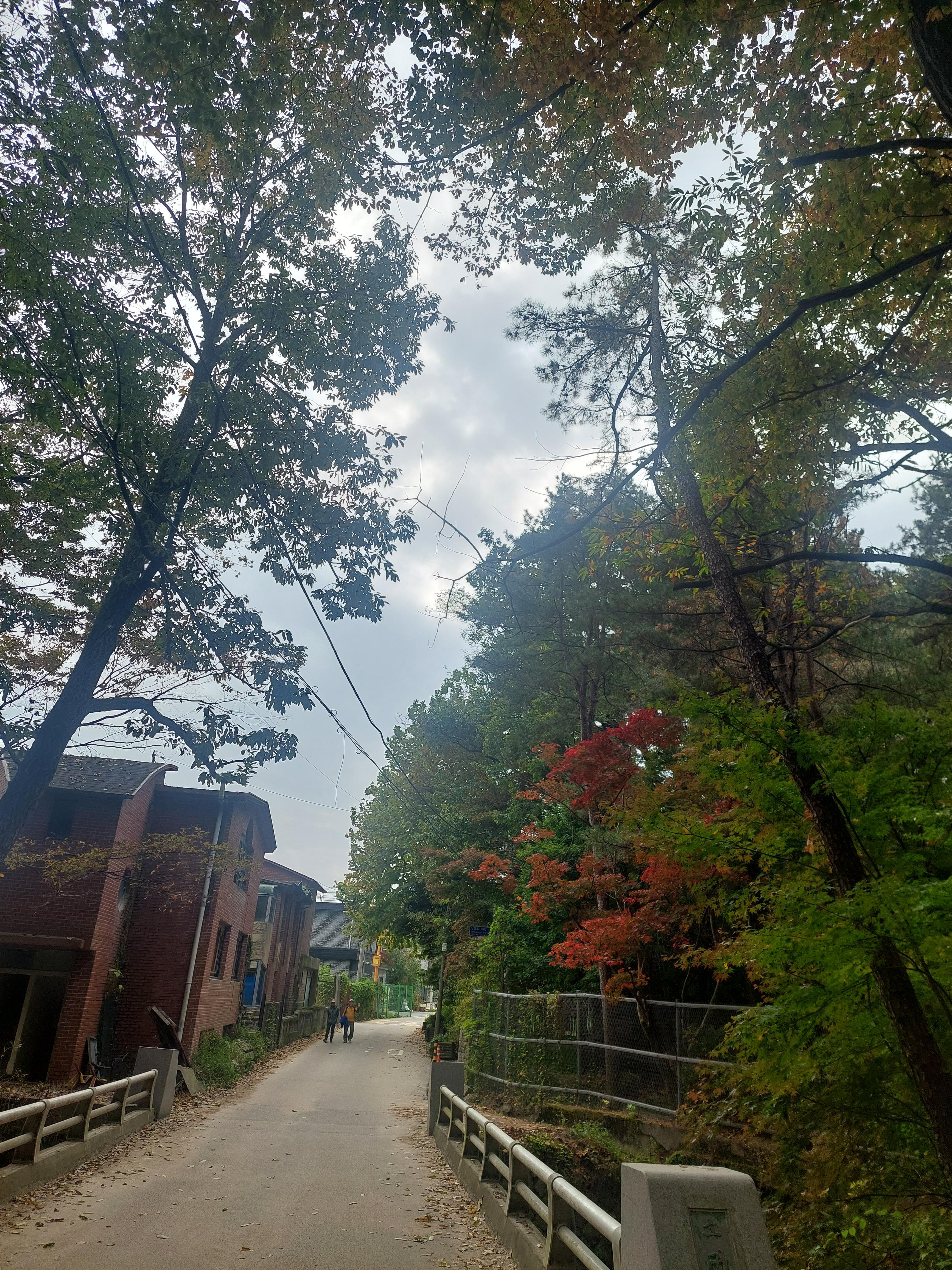 우이령길