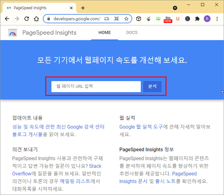 PageSpeed Insights 메인화면