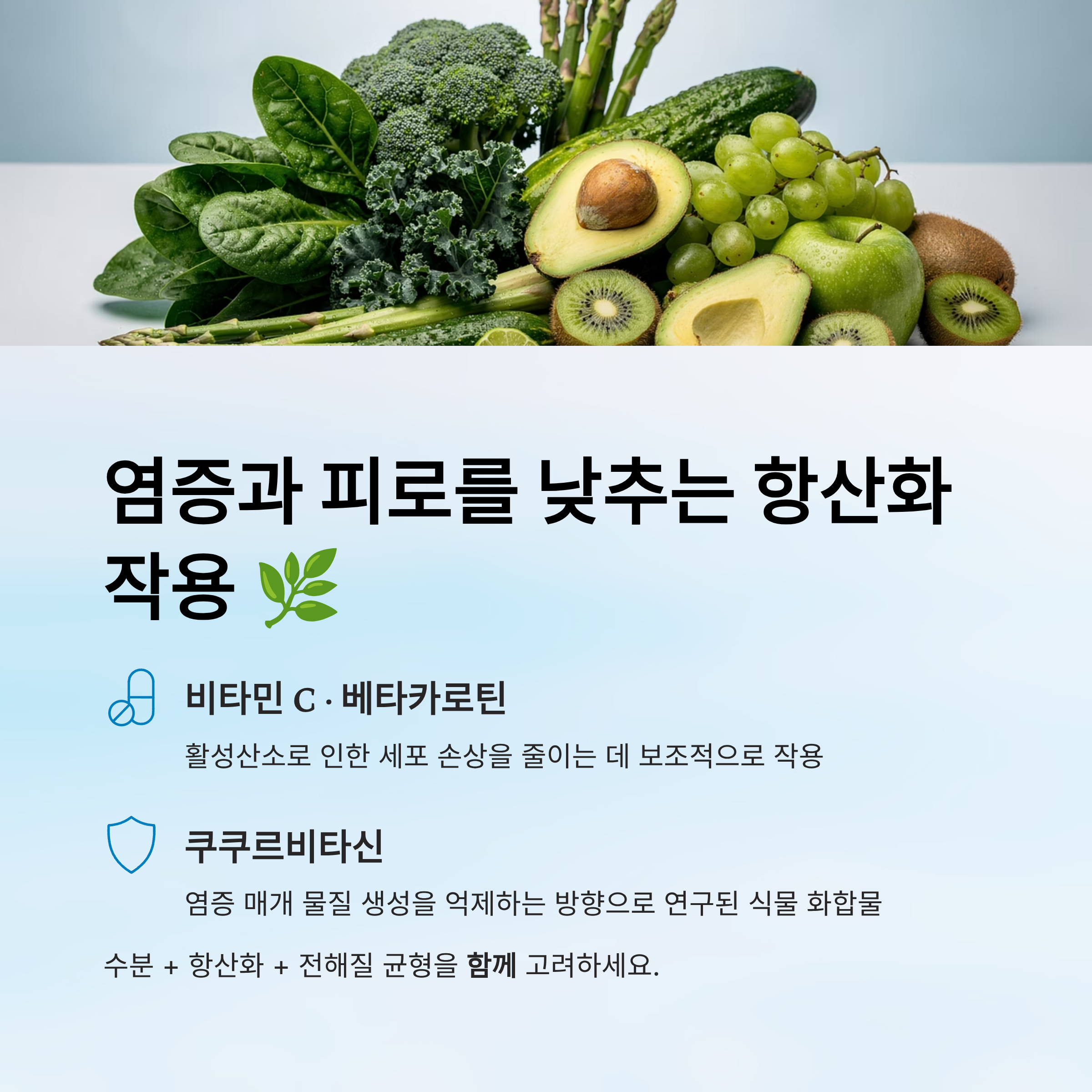 염증과 피로를 낮추는 항산화 작용