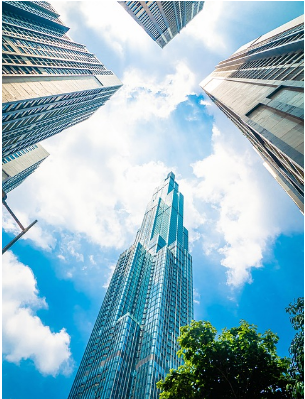 스마트시티와 바이오필릭 디자인의 만남