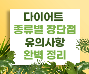 다이어트의 종류별 장단점과 유의사항 완벽정리