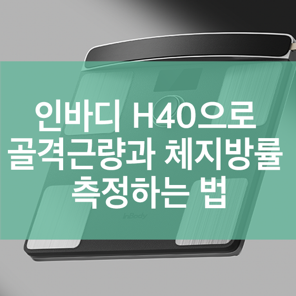 인바디 H40으로 골격근량과 체지방률 정확히 측정하는 법