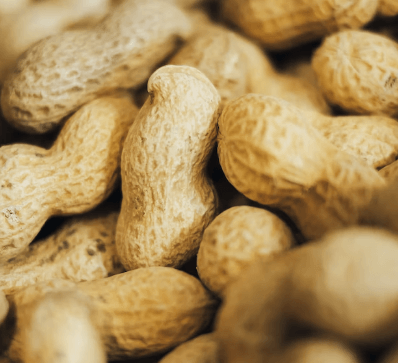 피부 탄력에 좋은 음식 - 견과류