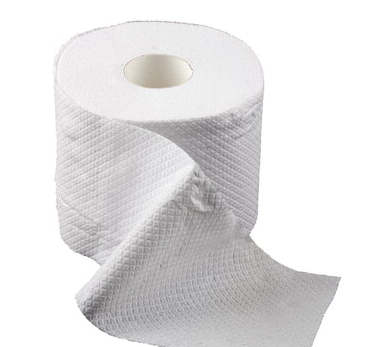 정재형 휴지 프리미엄 화장지