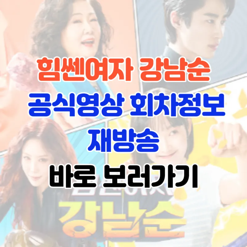 힘쎈여자 강남순 공식영상 회차정보 재방송