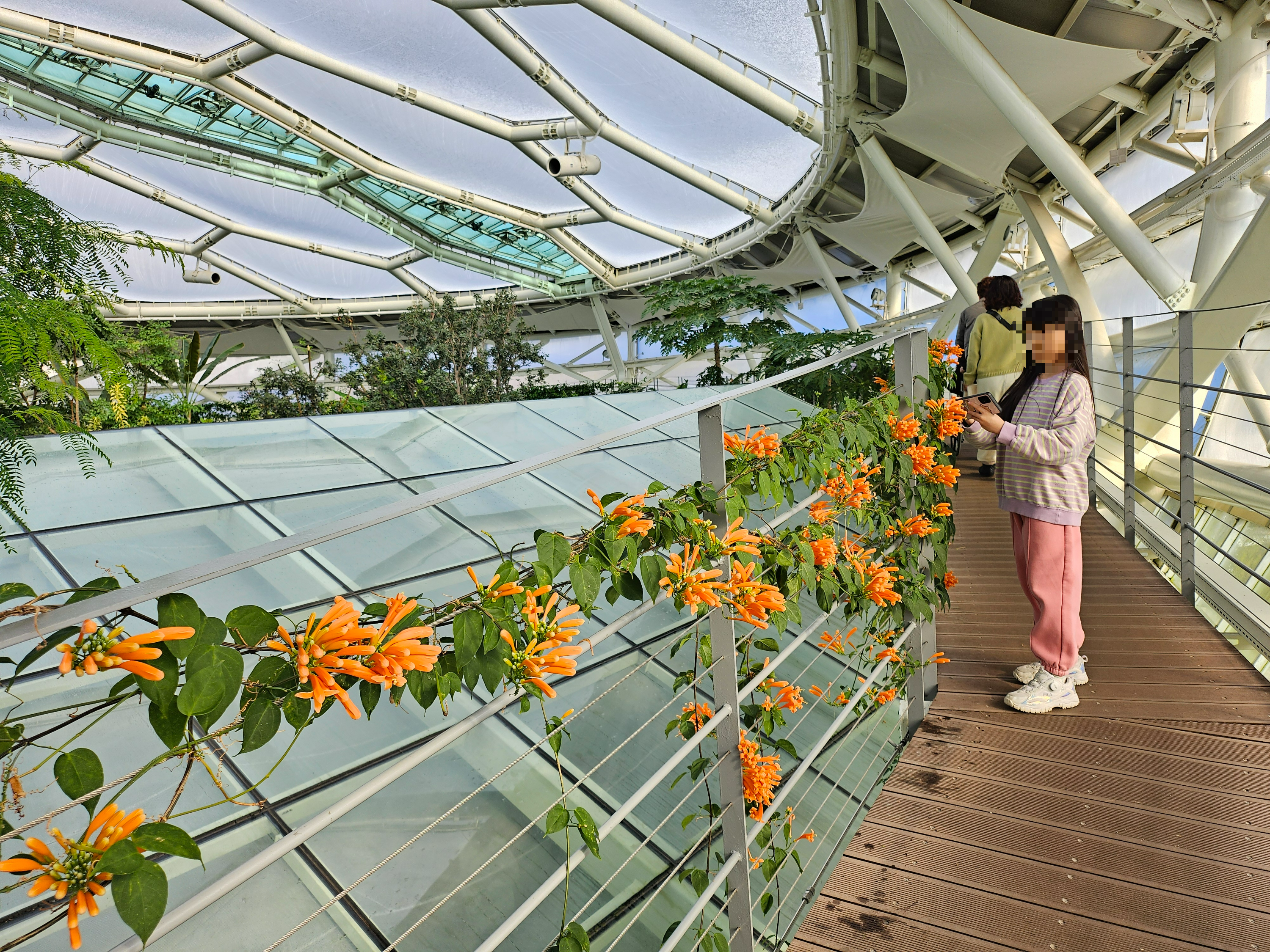 겨울 실내 아이와 가볼만한곳 부천호수공원 식물원 수피아