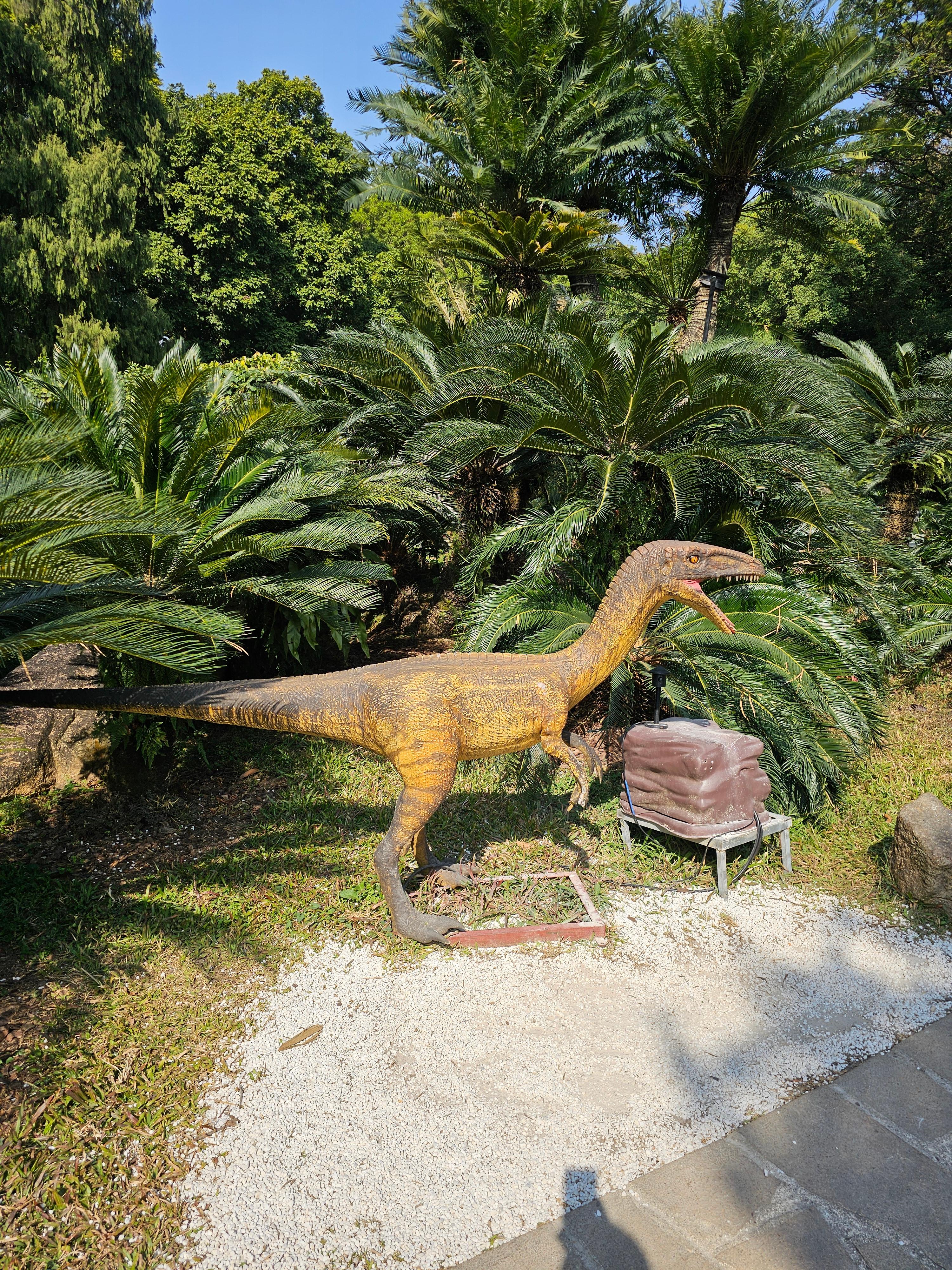 광저우 화남식물원