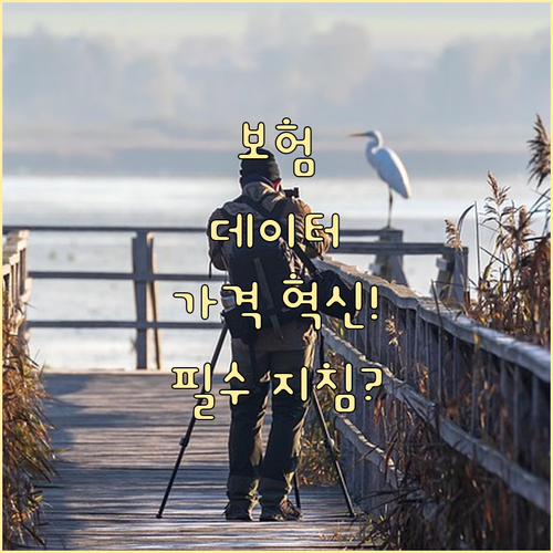 보험 시장의 디지털 전환, 데이터 기..