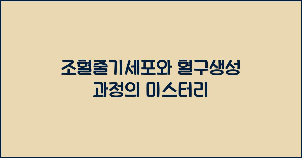 조혈줄기세포, 혈구생성 과정