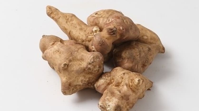 돼지감자 효능의 돼지감자2