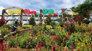 세부 여행 추천 시라오 플라워 가든