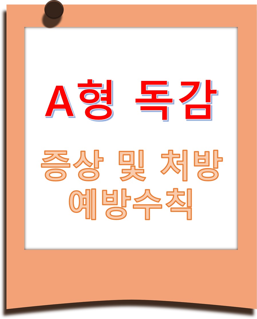 A형 독감 증상 및 처방 예방수칙