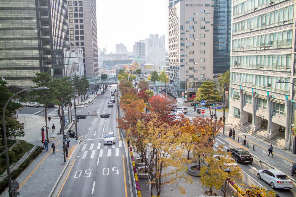 남산둘레길 10월 28일 상황 단풍