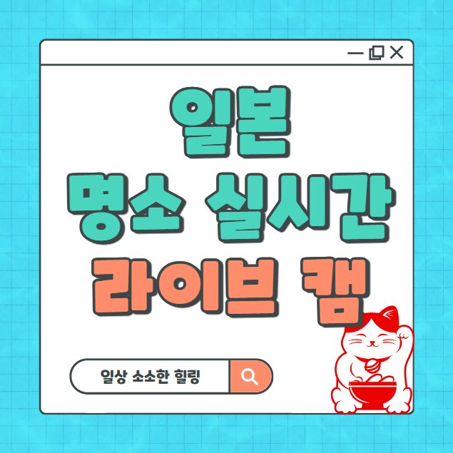 일본 라이브 캠 모음