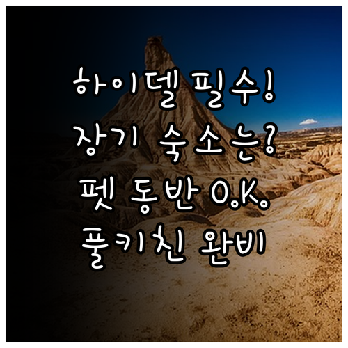 하이델베르크 아파트호텔 추천 주방 반..