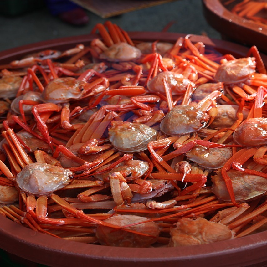 키토산(Chitosan)이 풍부한 게 사진