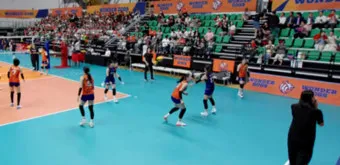 2025 2026 시즌 흥국생명 배구단 선수 명단 및 연봉 계약 FA 외국인 선수 정보 로스터 분석_13