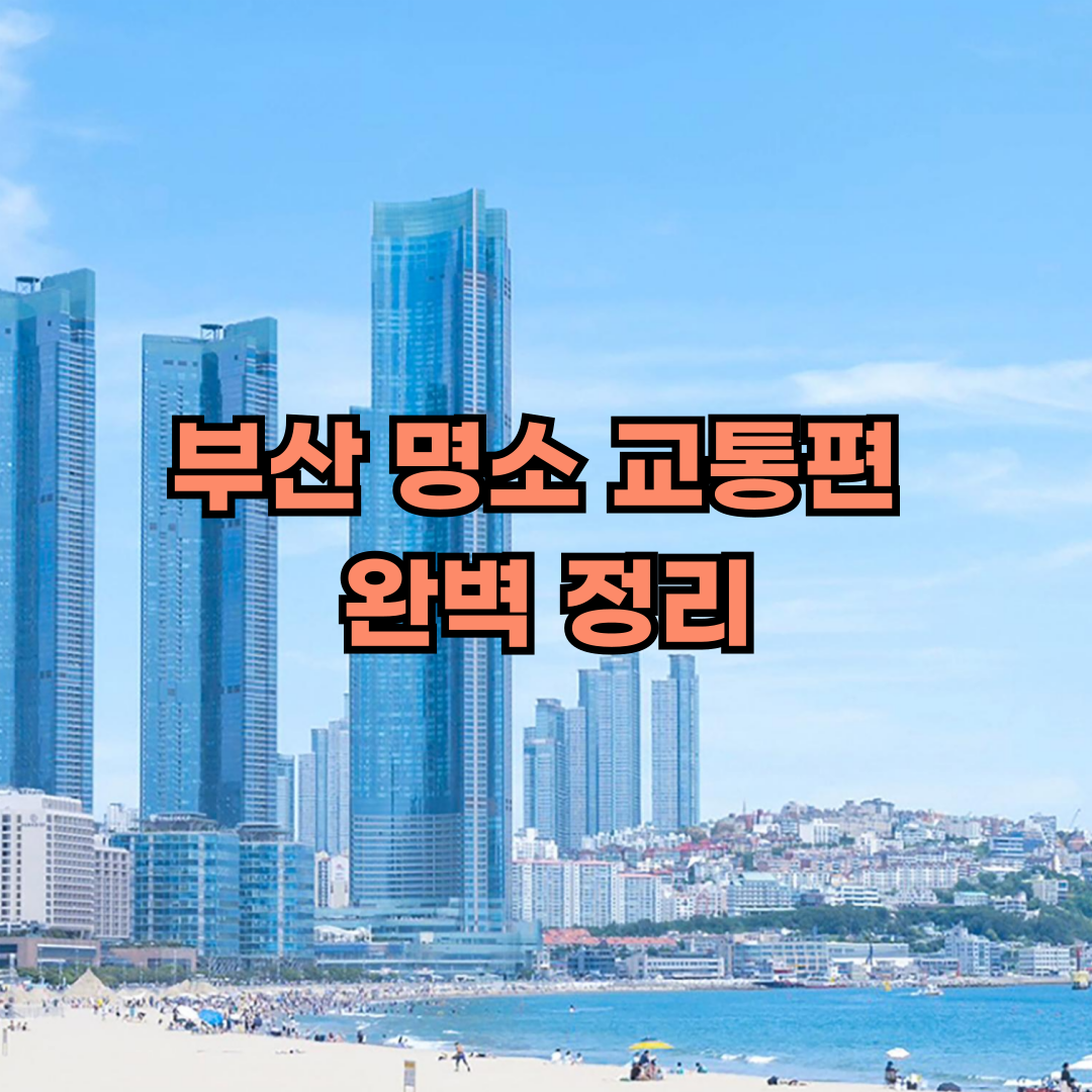 부산 명소 교통