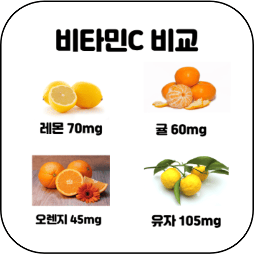 비타민C 비교