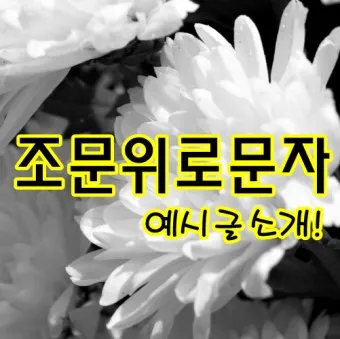 친구 부모님 돌아가셨을 때 위로 문자 모친상 위로말_43