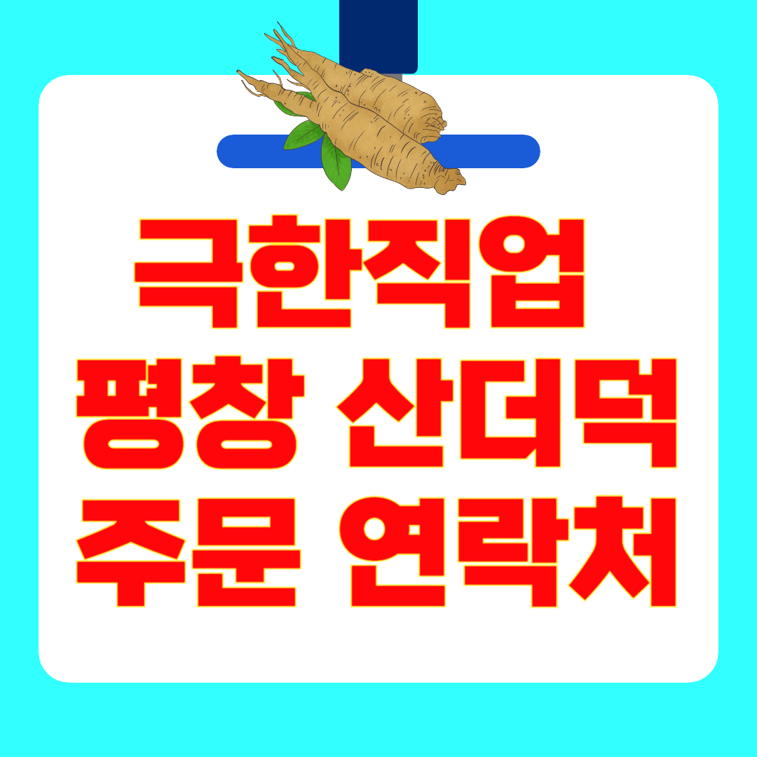 [극한직업 평창 산더덕] 지금이 제철! 향긋한 더덕 택배 주문 방법 연락처 주소 총정리