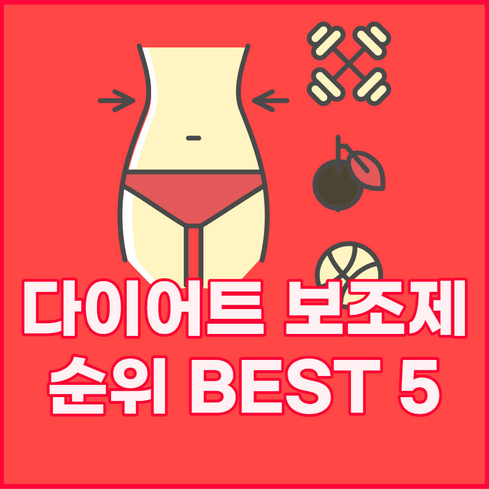 다이어트 보조제 순위