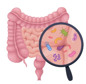 대장내시경 전 음식 초기증상