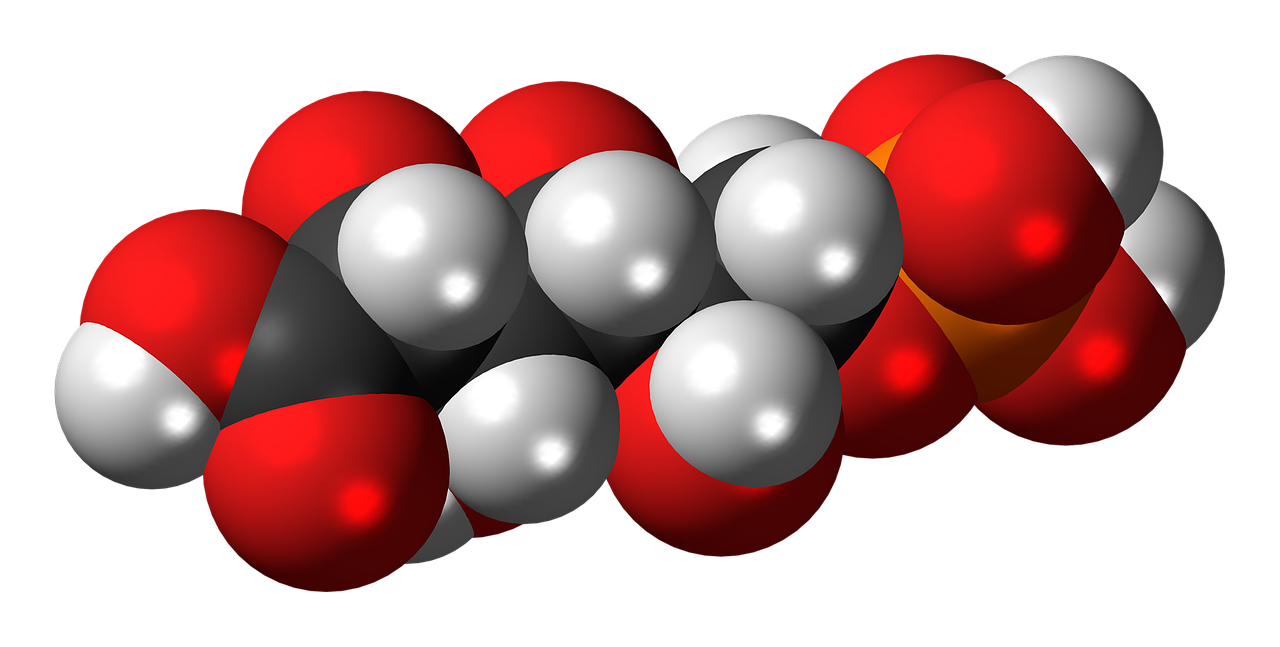 아이의 발달 지연과 휘어진 다리, 혹시 '저인산효소증'일까요? (극희귀질환 A to Z)