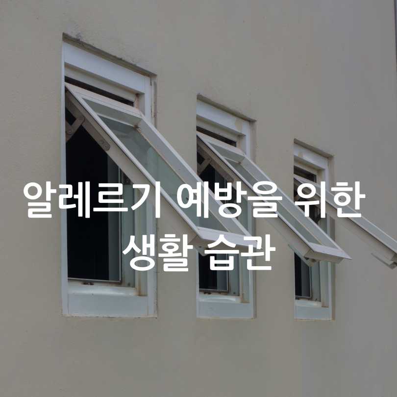 봄맞이 대청소 팁 &amp; 진드기 제거 팁