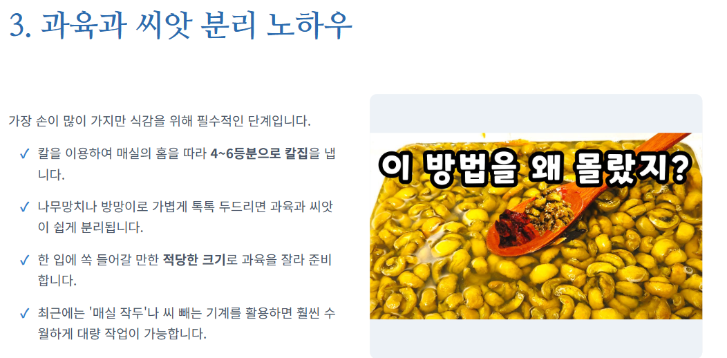 매실 장아찌 아삭하게담는법