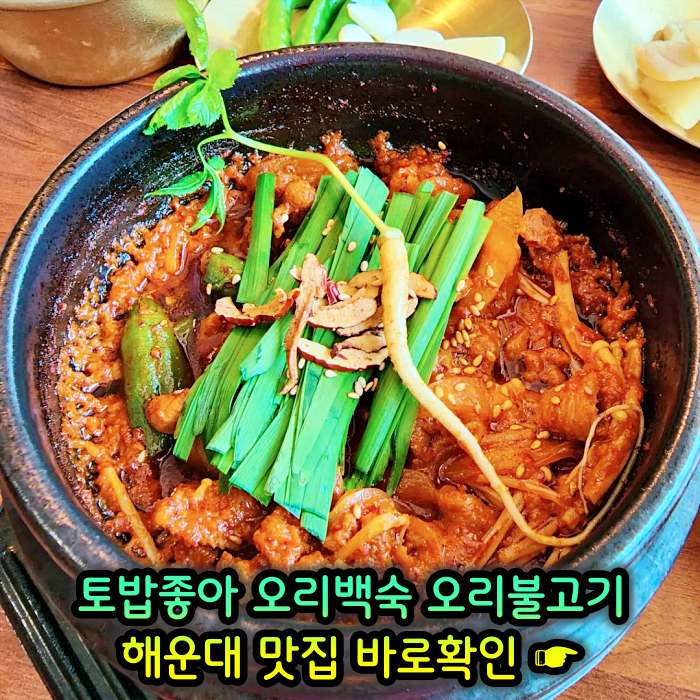 부산 해운대 맛집 무항생제 1등급 오리 백숙