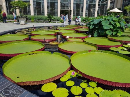 롱우드 가든스 사진