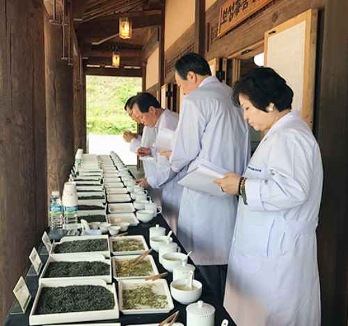 보성다향대축제